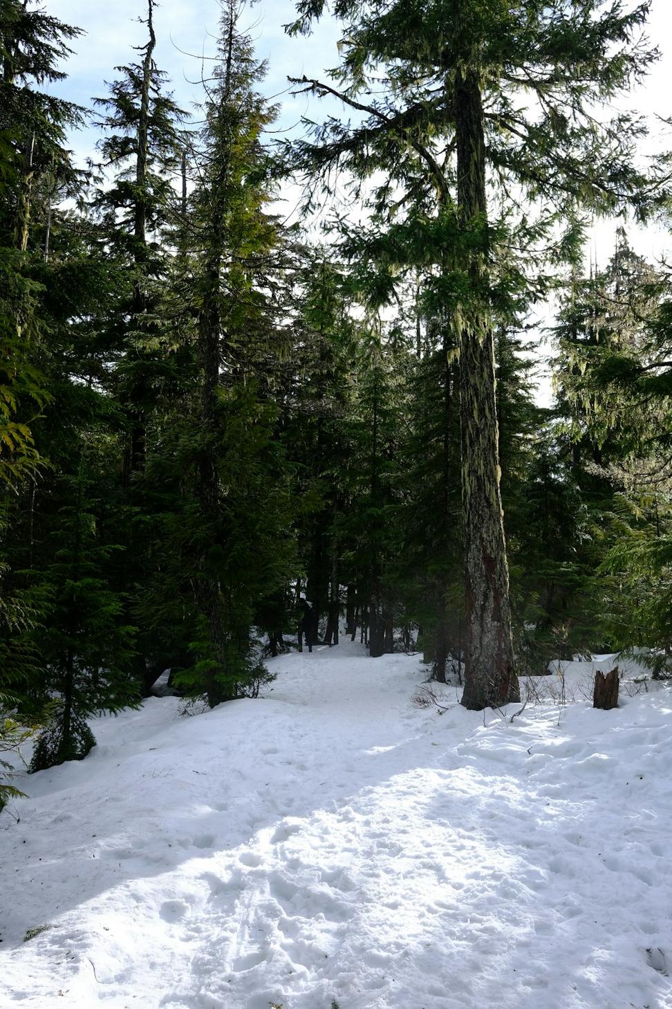 Snowshoeing